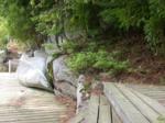 Pruned tree limbs opened area of blueberry bushes on near embankment and far shore too