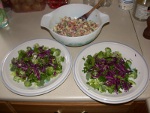 Legumes in yogurt sauce will be placed on bed of raw green vegies